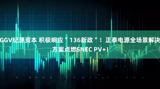 GGV纪源资本 积极响应＂136新政＂！正泰电源全场景解决方案点燃SNEC PV+！