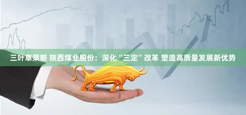 三叶草策略 陕西煤业股份：深化“三定”改革 塑造高质量发展新优势