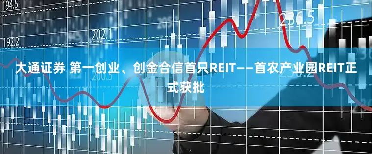 大通证券 第一创业、创金合信首只REIT——首农产业园REIT正式获批