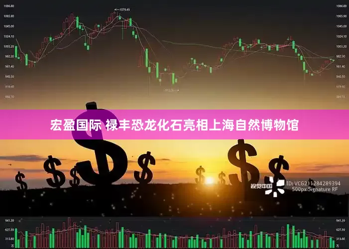 宏盈国际 禄丰恐龙化石亮相上海自然博物馆