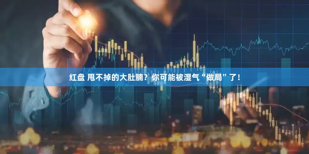 红盘 甩不掉的大肚腩？你可能被湿气“做局”了！