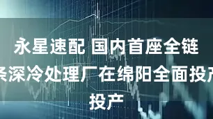永星速配 国内首座全链条深冷处理厂在绵阳全面投产