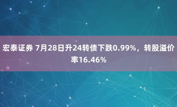 宏泰证券 7月28日升24转债下跌0.99%，转股溢价率16.46%