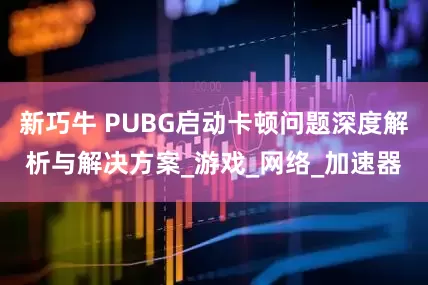 新巧牛 PUBG启动卡顿问题深度解析与解决方案_游戏_网络_加速器