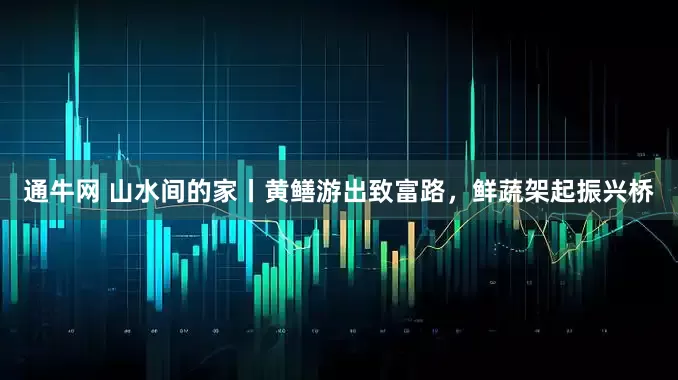 通牛网 山水间的家丨黄鳝游出致富路，鲜蔬架起振兴桥