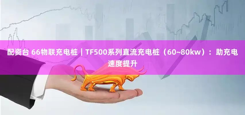 配资台 66物联充电桩|TF500系列直流充电桩(60~80kw):助充电速度提升