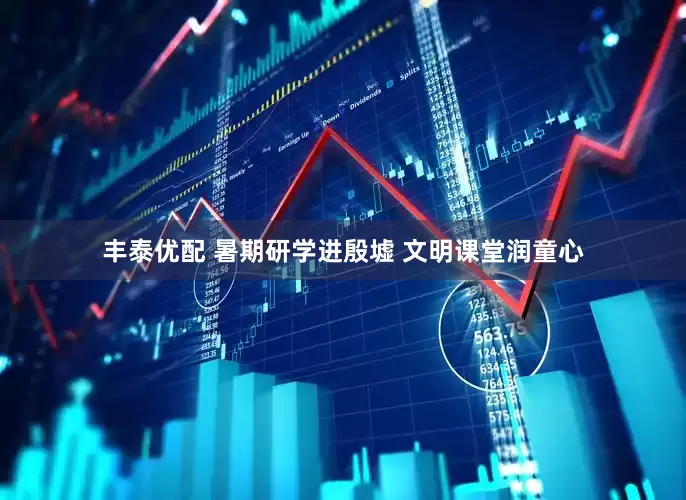 丰泰优配 暑期研学进殷墟 文明课堂润童心