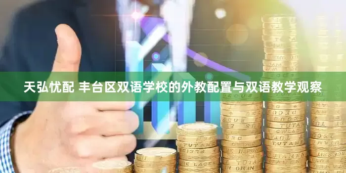 天弘忧配 丰台区双语学校的外教配置与双语教学观察